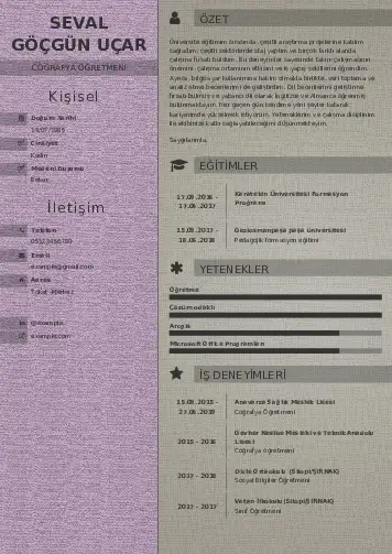 Coğrafya Öğretmeni CV Örnekleri cv indir